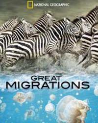 Великие миграции (2010) смотреть онлайн